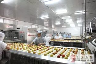 食品行業中二氧化氯技術的應用