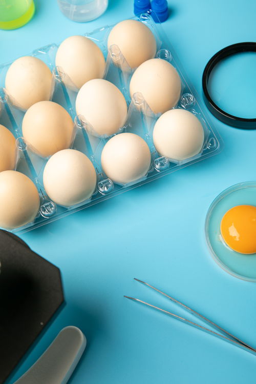 新鮮無菌蛋食品安全農業科技食品培育攝影圖 插畫 下載至來源處