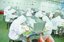 寧波引領世界果蔬加工新潮流(圖)【1】-新聞頻道-手機