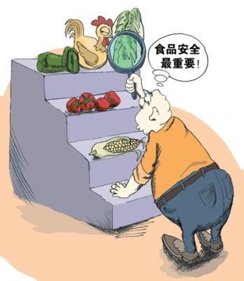 李磊冷眼看世界:中國食品安全問題解決之道