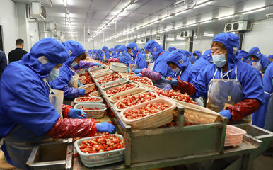 張岳平開展“五一”節前安全生產檢查 督導食品安全包保工作