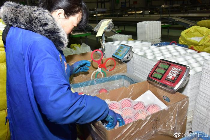 全國綠色食品原料(蘋果)標準化生產基地陜西白水