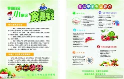 食品安全 科普設計圖
