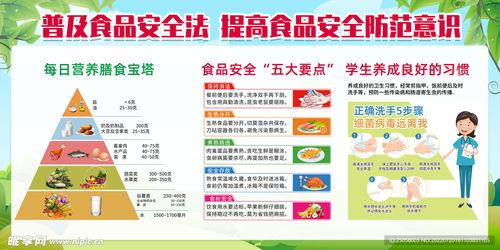 校園安全食品設計圖