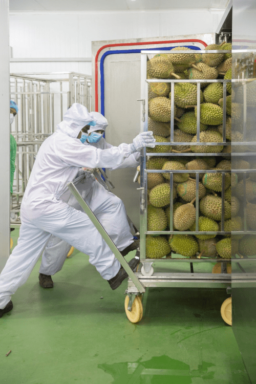 "食品安全無小事",和南榴蓮相關產品助大眾健康過中秋