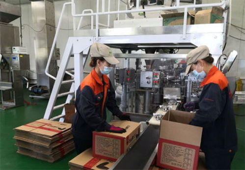 食品廠燃?xì)庹羝仩t在哪里買 燃?xì)庹羝仩t有哪些作用