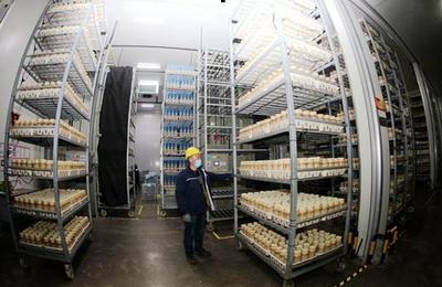 食用菌企業生產馬力足 產品銷全國