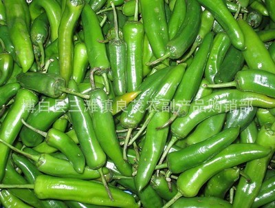 【產地直銷青椒 綠色食品 青椒 辣椒 產品安全(圖)】價格,廠家,圖片,蔥姜蒜類,博白縣三灘鎮良茂農副產品購銷部-