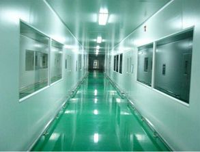 醫用凈化工程公司 潔凈工程 凈化車間設計施工 湖南凈化公司