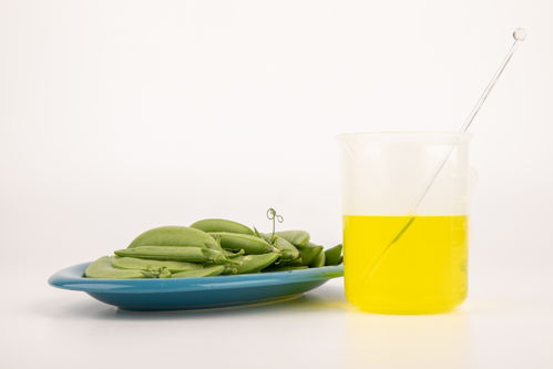 甜碗豆食品安全農業科技食品培育攝影圖 插畫 下載至來源處