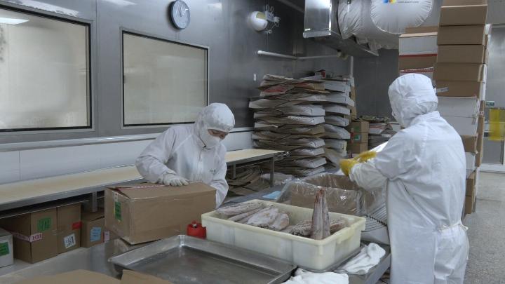 內(nèi)外雙循環(huán)驅(qū)動，烤鰻香飄全球——武夷山企業(yè)以“三爭”行動引領(lǐng)5億產(chǎn)值新賽道